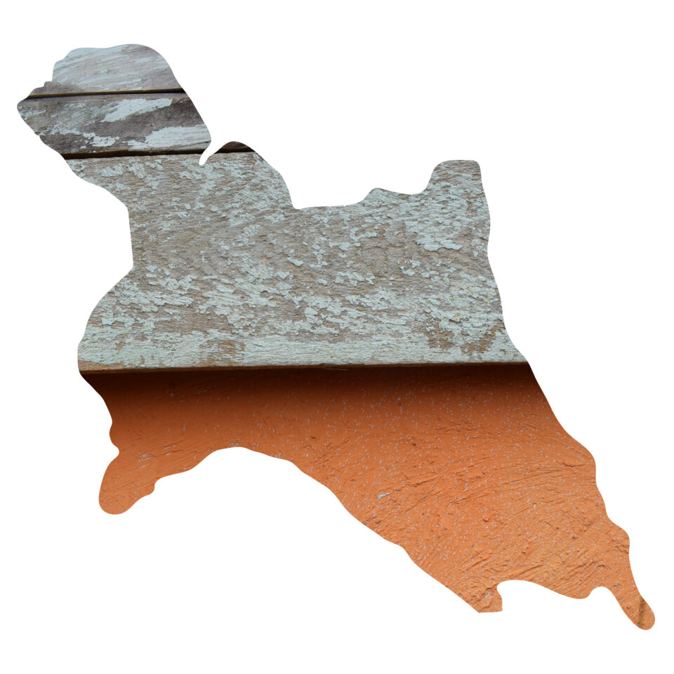 <em>Trashumantes #1</em>, 2020