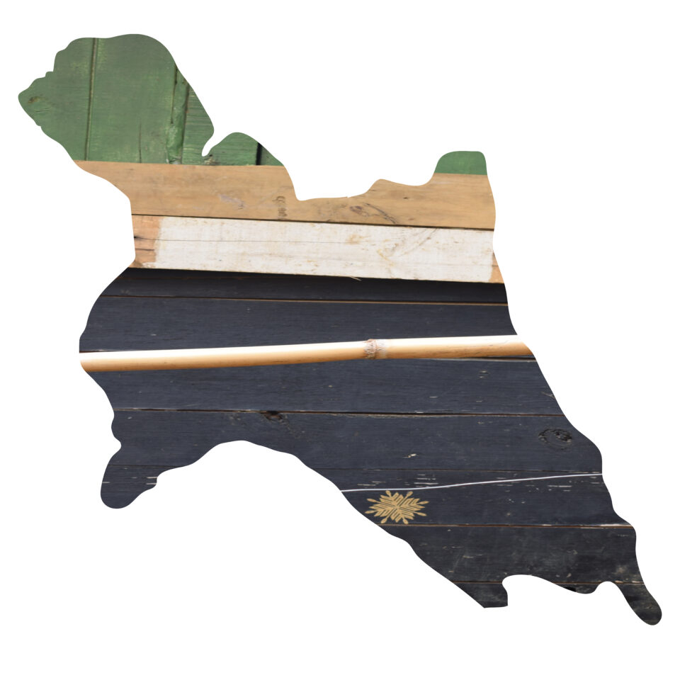 <em>Trashumantes #3</em>, 2020