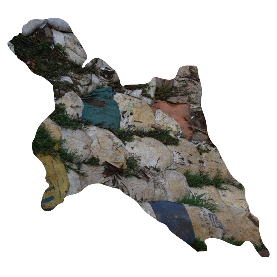 <em>Trashumantes #4</em>, 2020