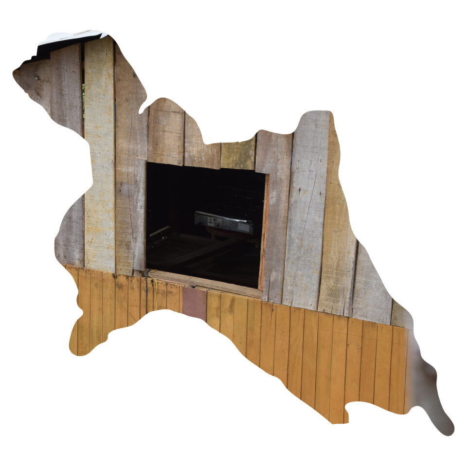 <em>Trashumantes #5</em>, 2020