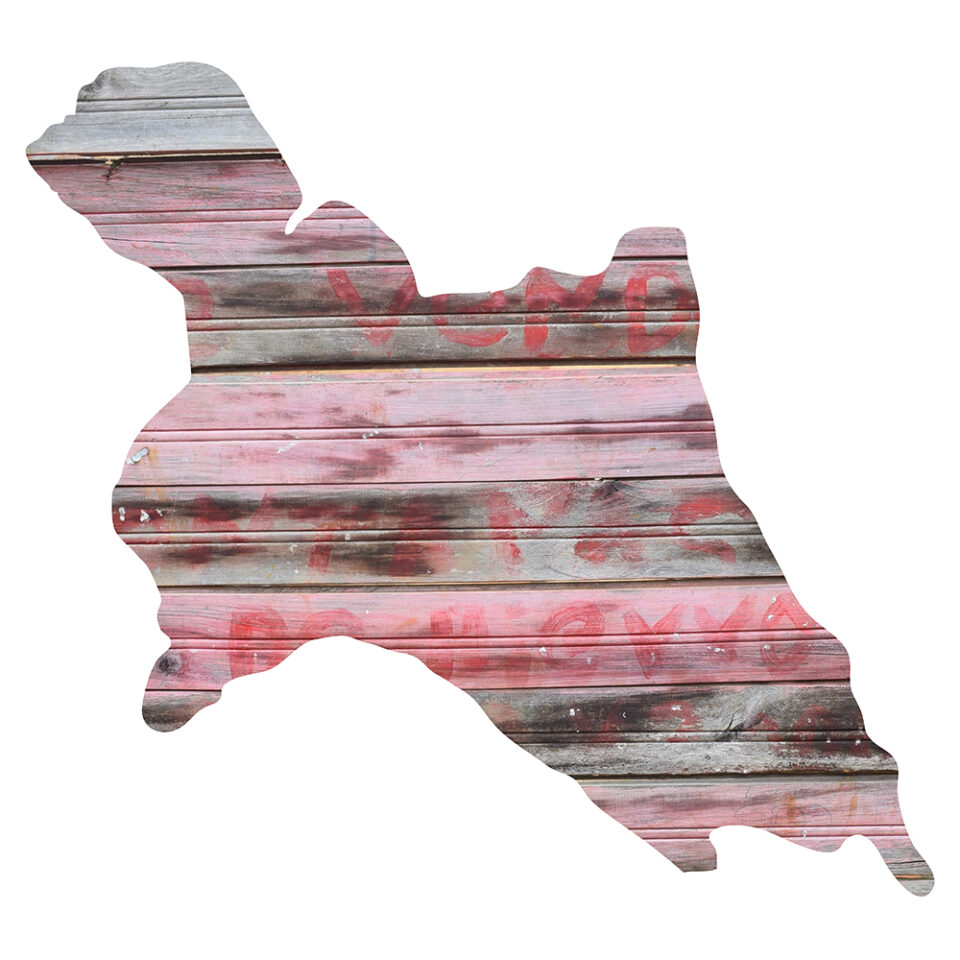 <em>Trashumantes #6</em>, 2020