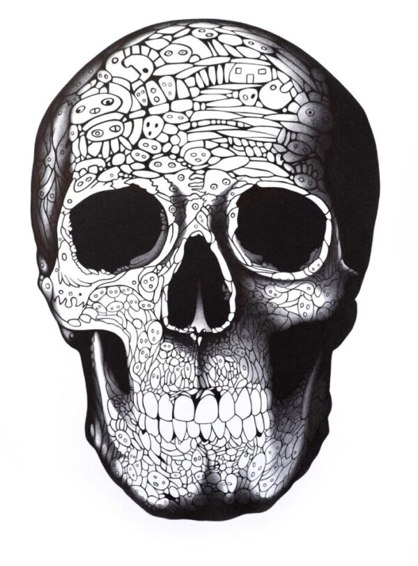 <em>Skull #1</em>