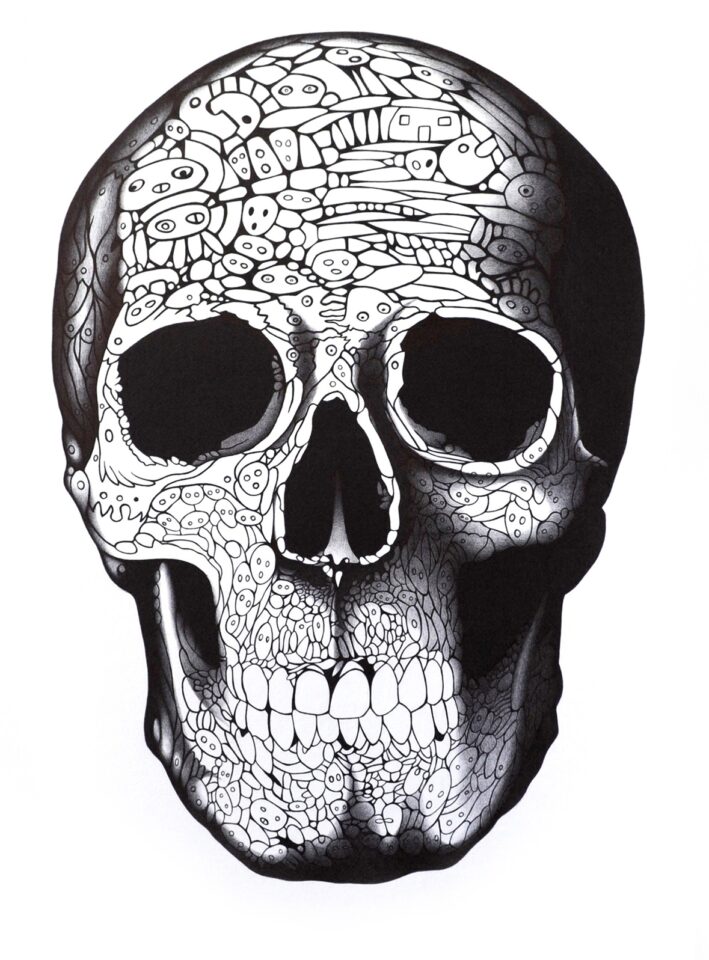 <em>Skull #1</em>