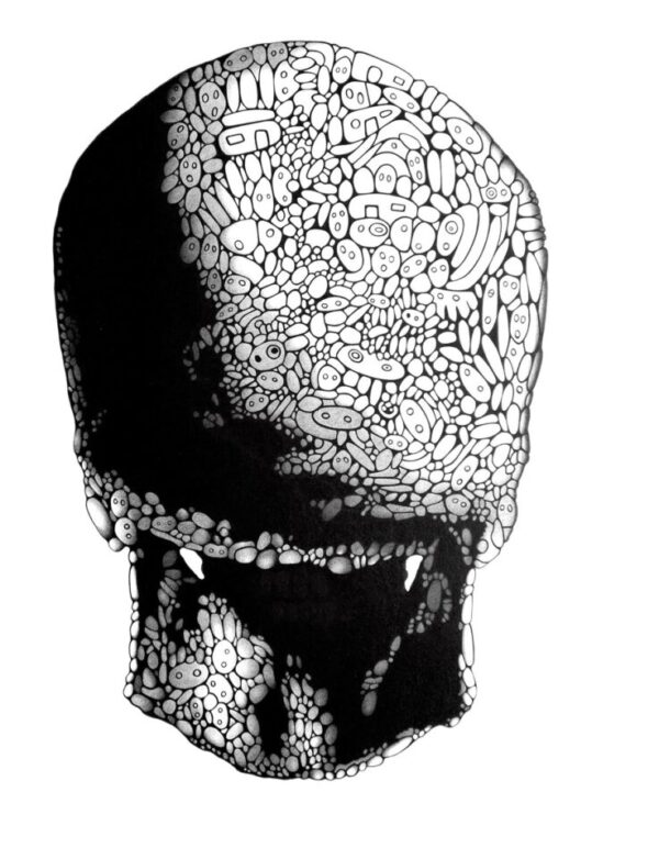 <em>Skull #5</em>