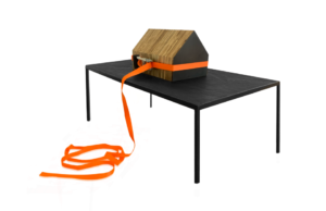 <em>En casa IV</em>, 2020