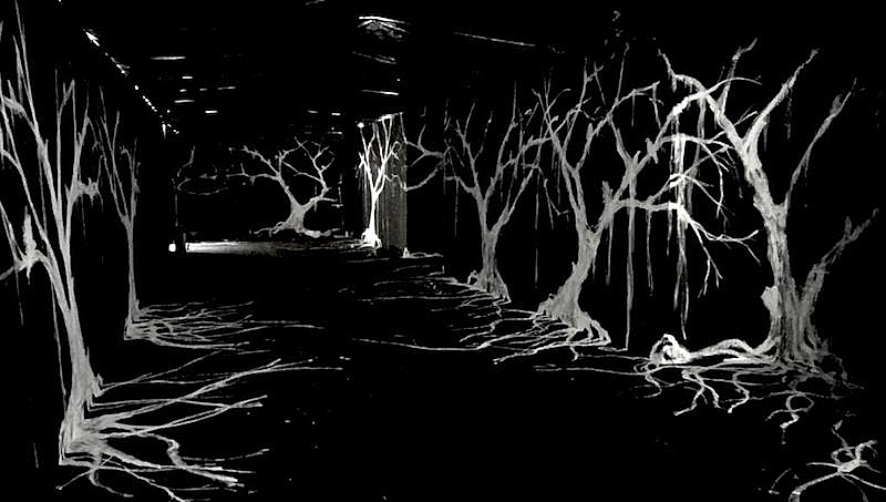 <em>Bosque Negro</em>