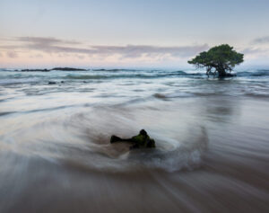 <em>Remolinos de Mar</em>