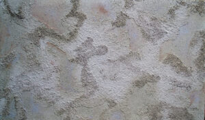 <em>Diálogos V</em>