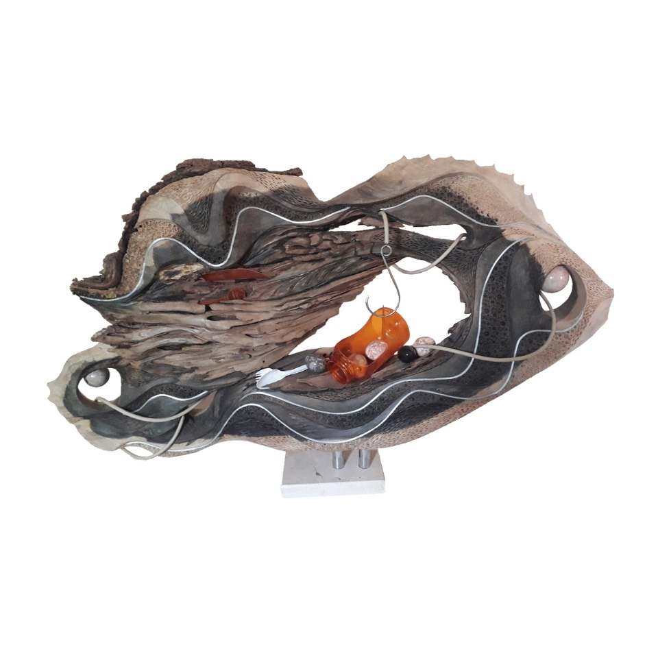 <em>Supervivencia</em>