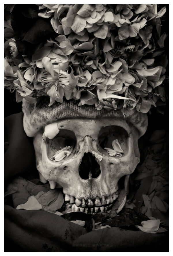 <em>ÑATITA 15 - 2015</em>