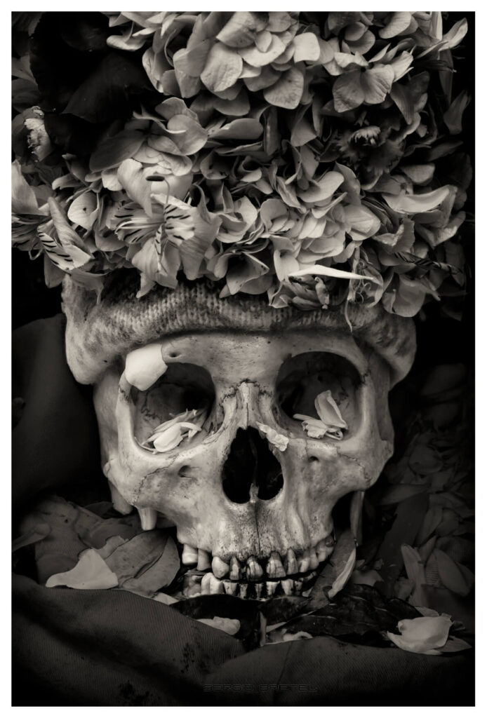 <em>ÑATITA 15 - 2015</em>