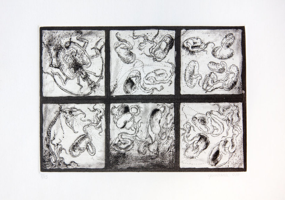 Germinates with Insect